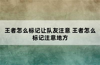 王者怎么标记让队友注意 王者怎么标记注意地方